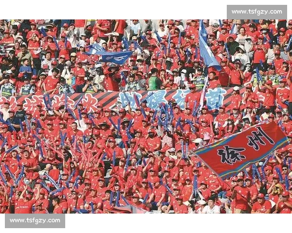 苏超赛场现中国红！球迷跨越山海为榕江助威